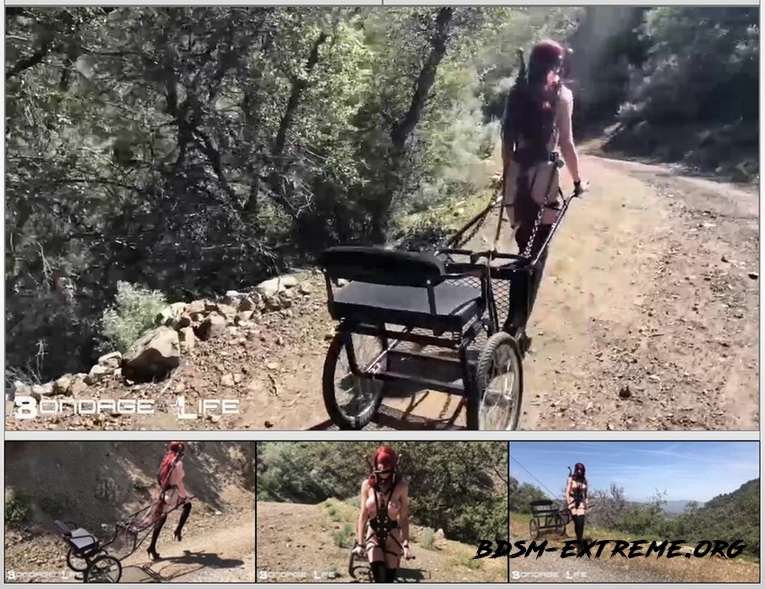 Pony Cart Walk (2020/HD) [BondageLife]